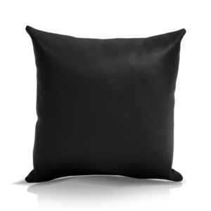 Vinyl Pillows